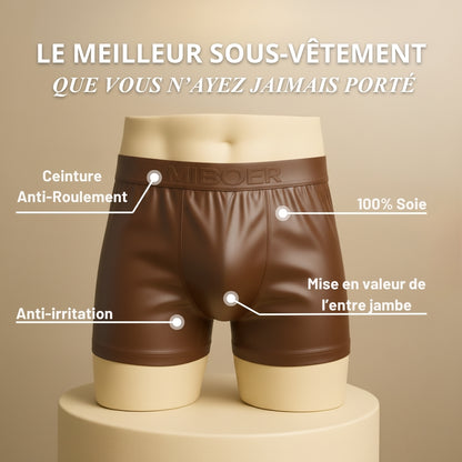 Boxer | Marron