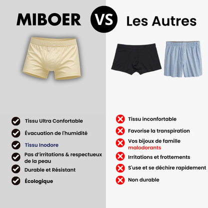 Boxer | Marron